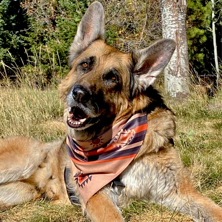 Grand Mesa (collars & accessories)
