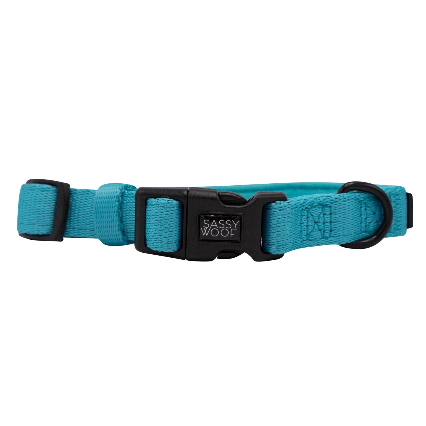 Dog Bundle - Neon Blue: S / XS