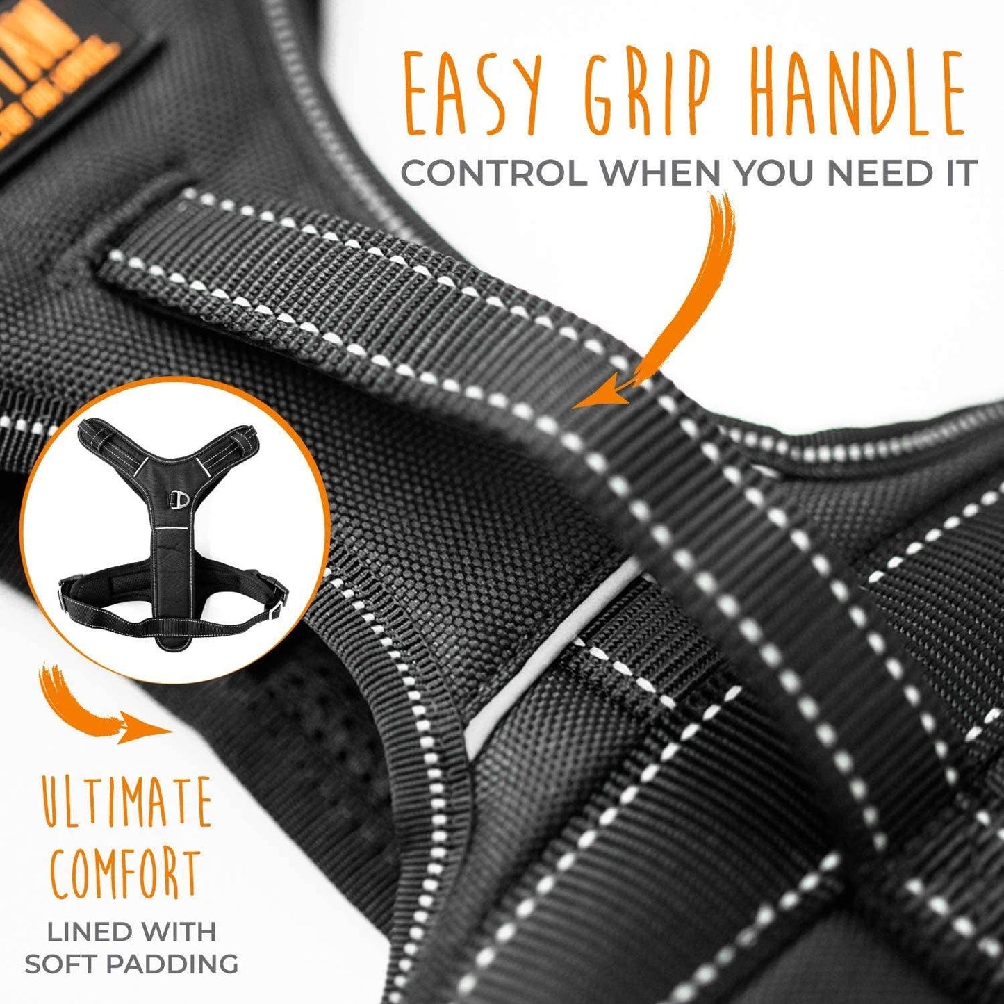 Sport Harness 2.0