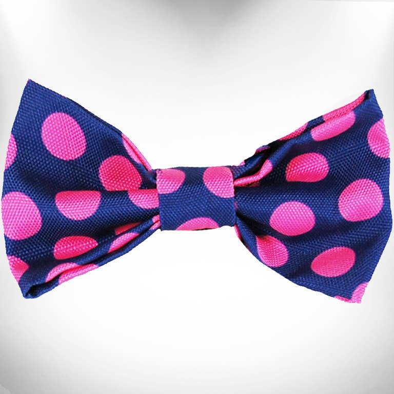 Pink Dot on Blue (collar & accessories)