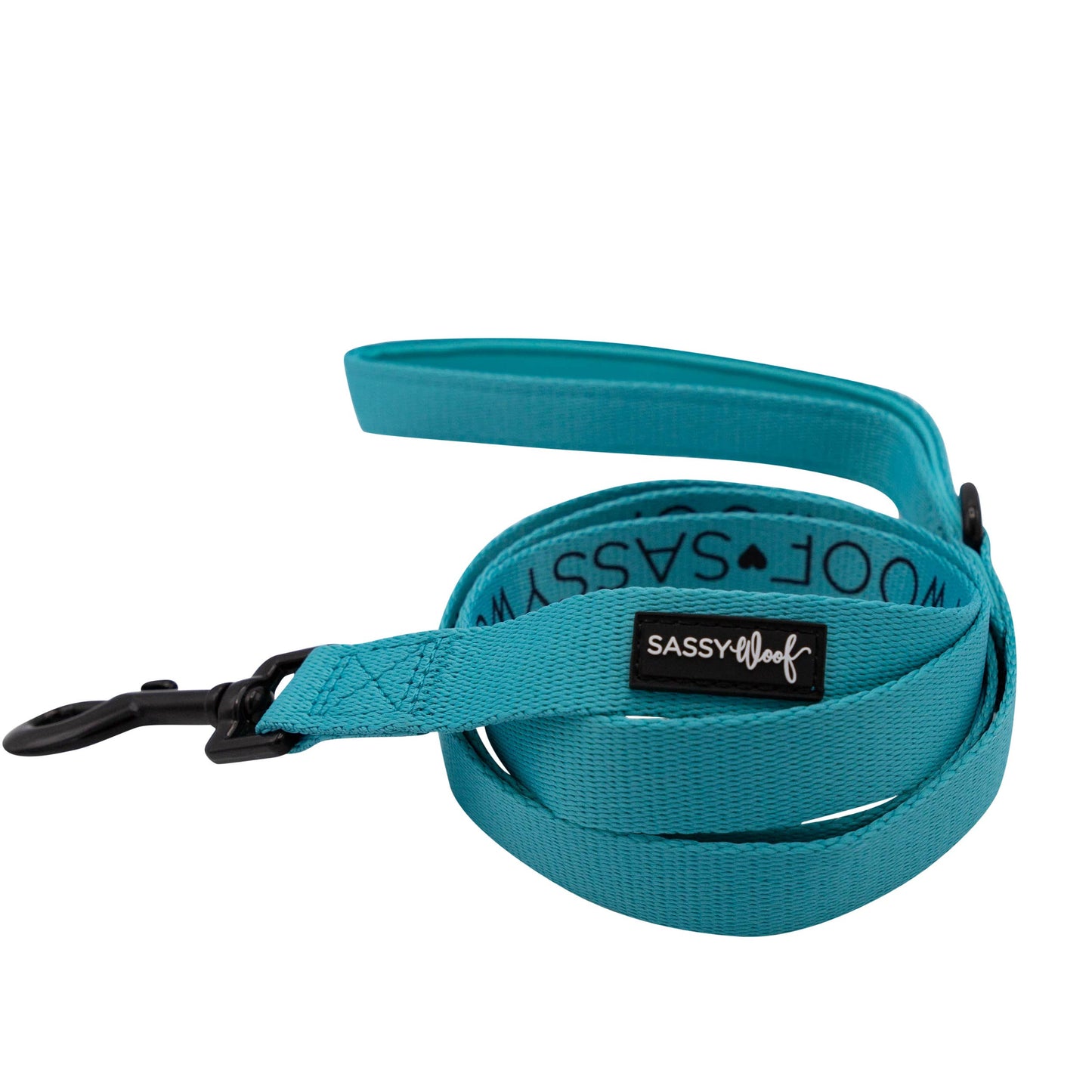 Dog Bundle - Neon Blue: S / XS
