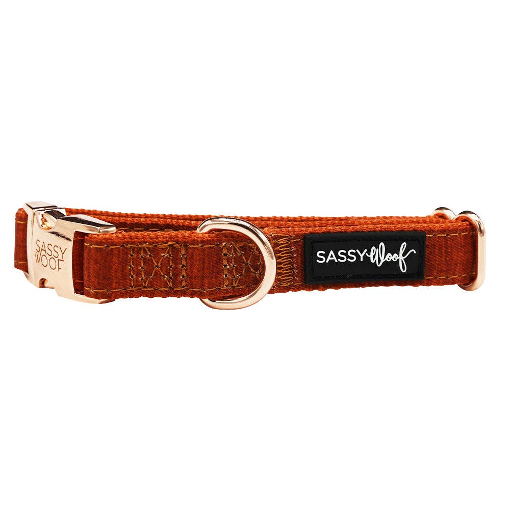 Fall Dog Bundle - Foxy: Large / Large