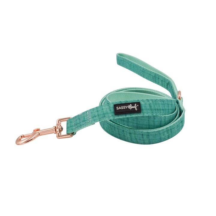 Dog Bundle - Wag Your Teal: M / S