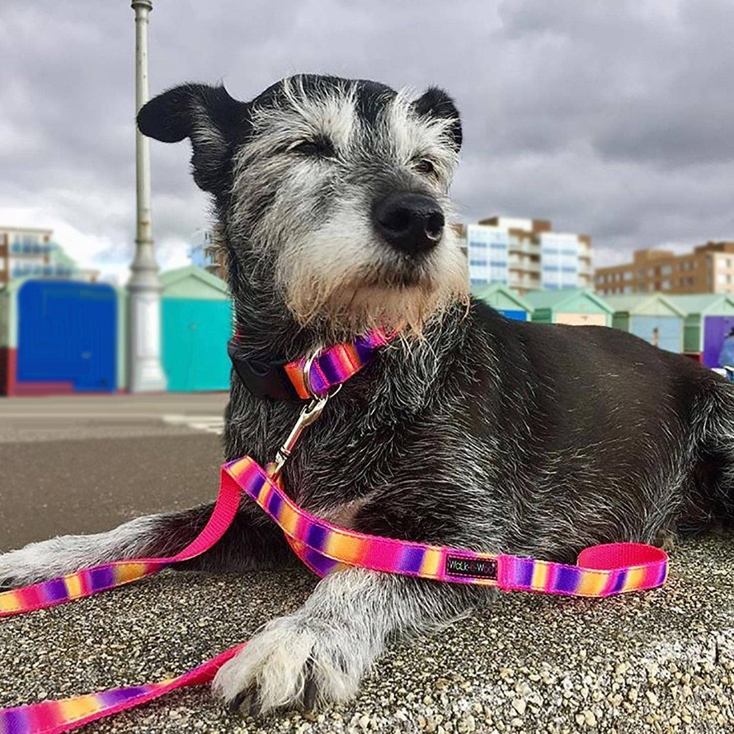 Pink and Green Tie Dye Collar