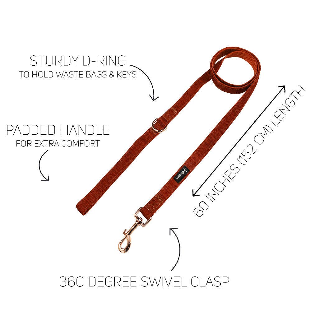 Fall Dog Bundle - Foxy: Large / Large