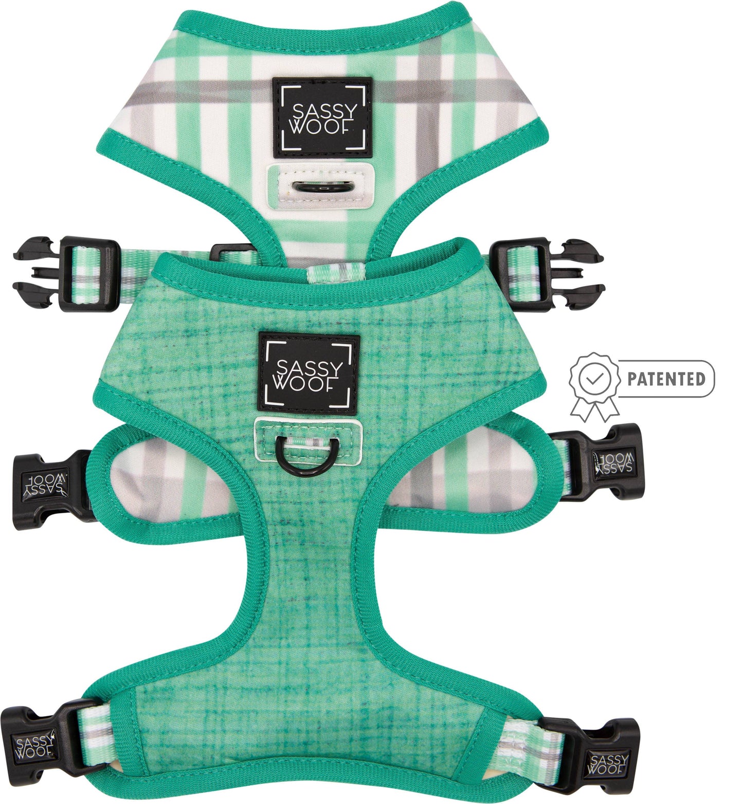 Dog Bundle - Wag Your Teal: M / S