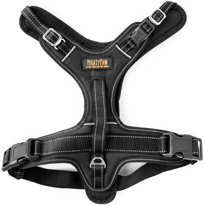 Sport Harness 2.0