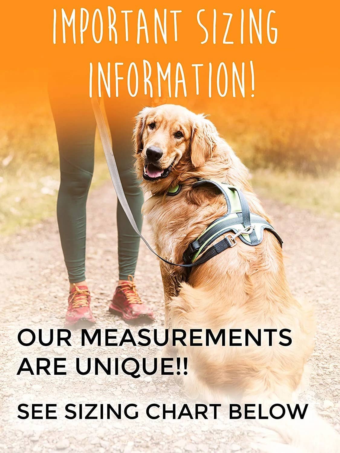 Sport Harness 2.0
