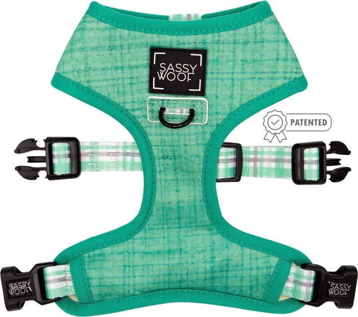 Dog Bundle - Wag Your Teal: M / S