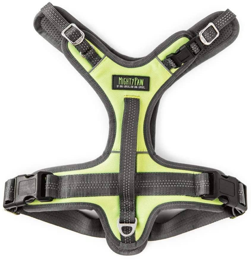 Sport Harness 2.0