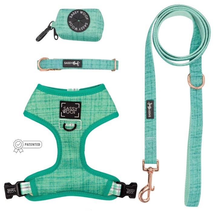 Dog Bundle - Wag Your Teal: M / S