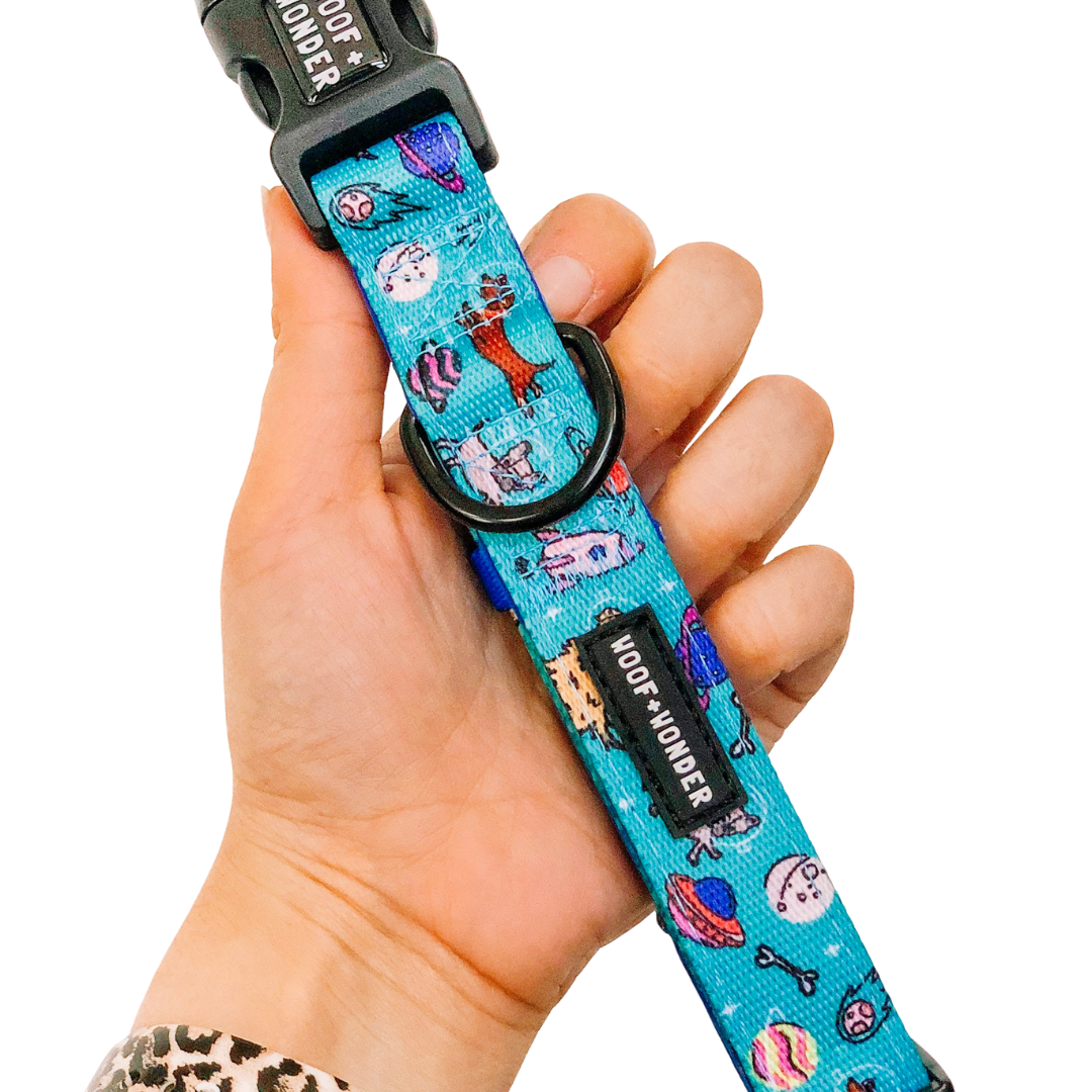 Space Dogs - Comfort Fit Collar
