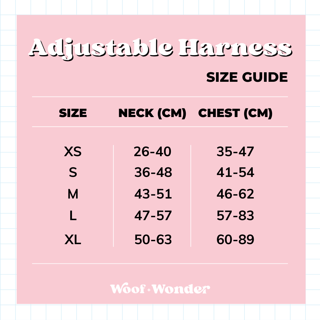 Carnival Cutie - Adjustable Harness