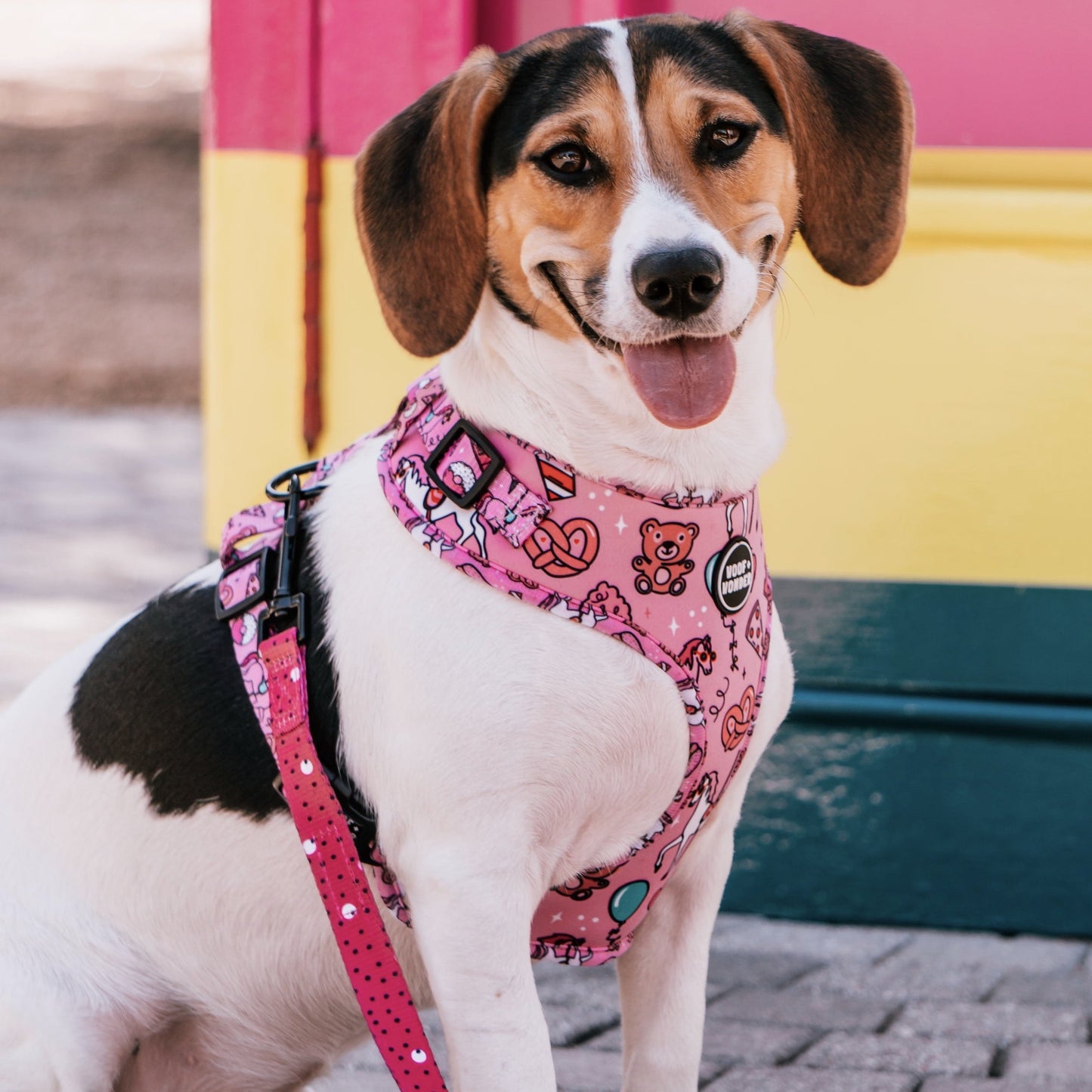 Carnival Cutie - Adjustable Harness