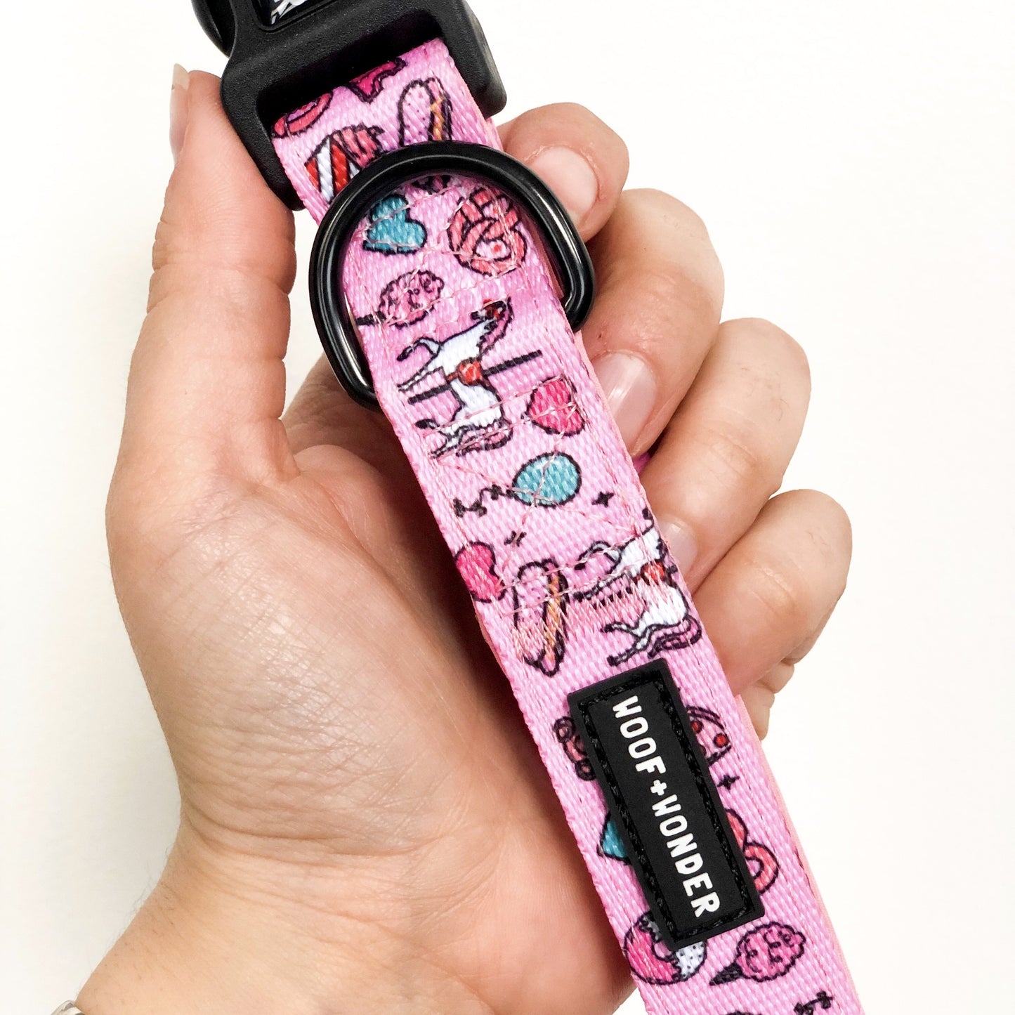 Carnival Cutie - Comfort Fit Collar