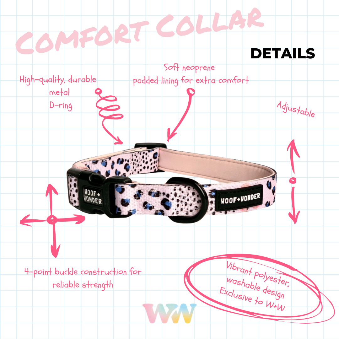 Carnival Cutie - Comfort Fit Collar