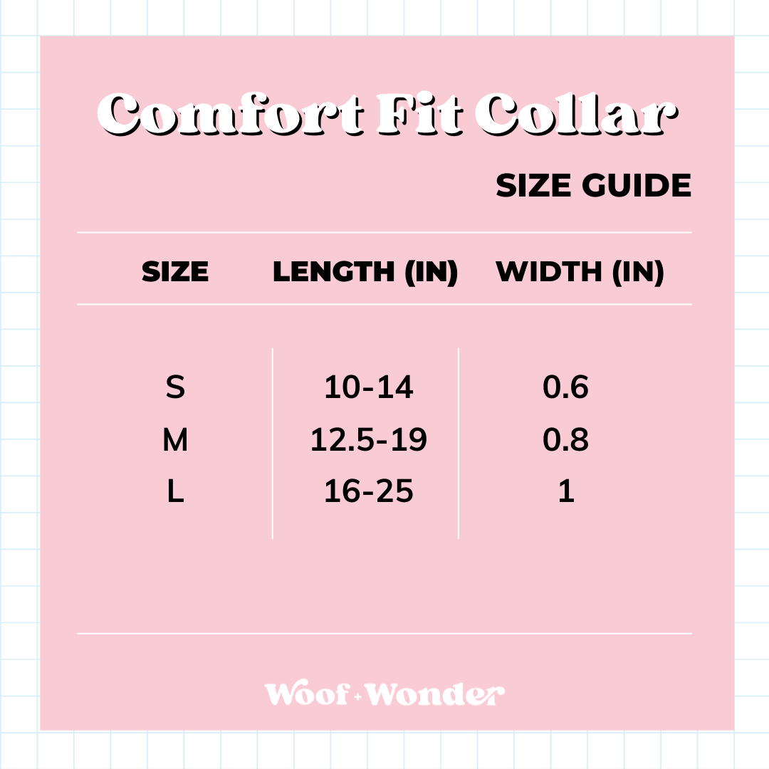 Carnival Cutie - Comfort Fit Collar