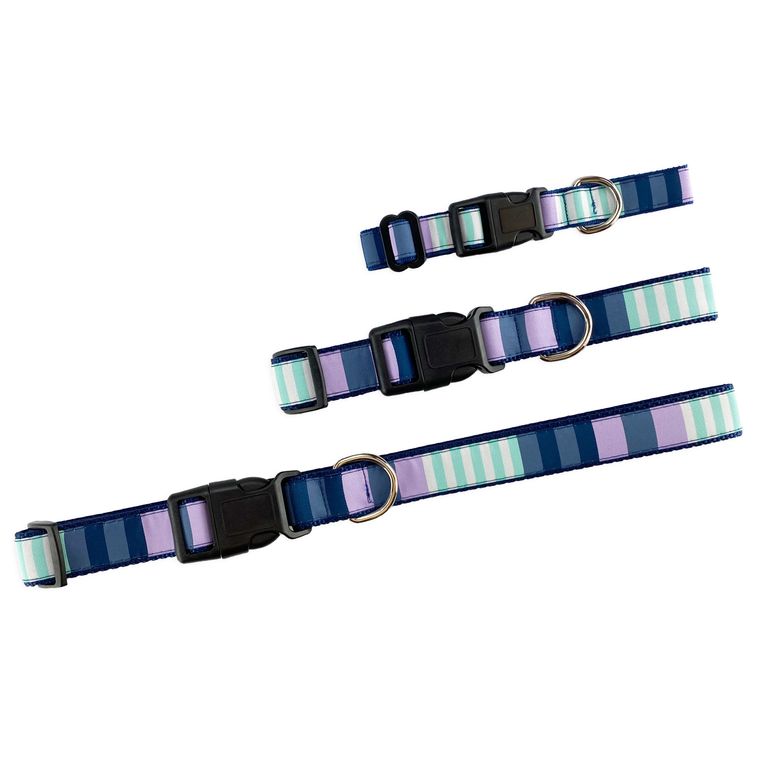 Dog Collar, Small - Metro Stripes