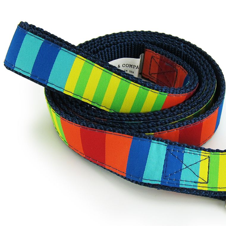 Dog Leash, Large - Party Stripes