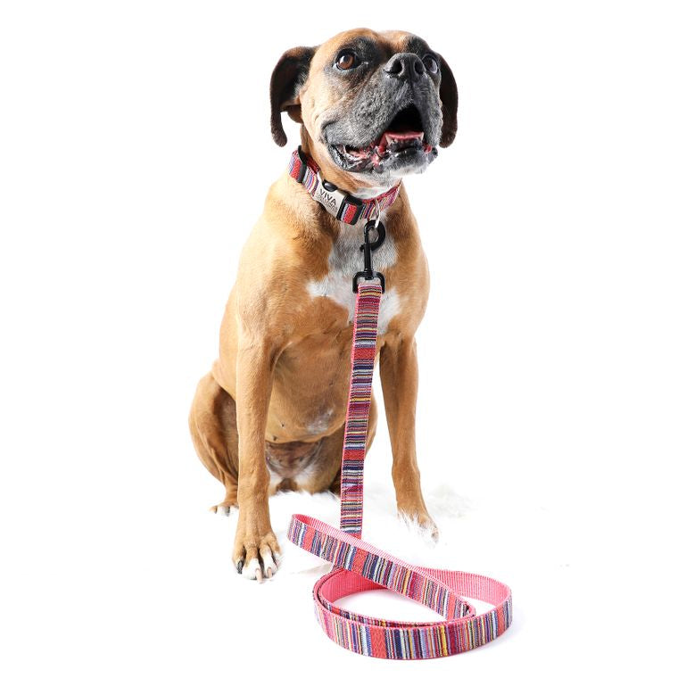Viva Sarape Beach Blanket Dog Collar