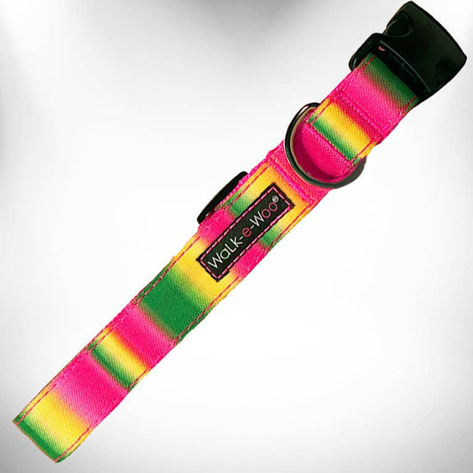 Pink and Green Tie Dye Collar