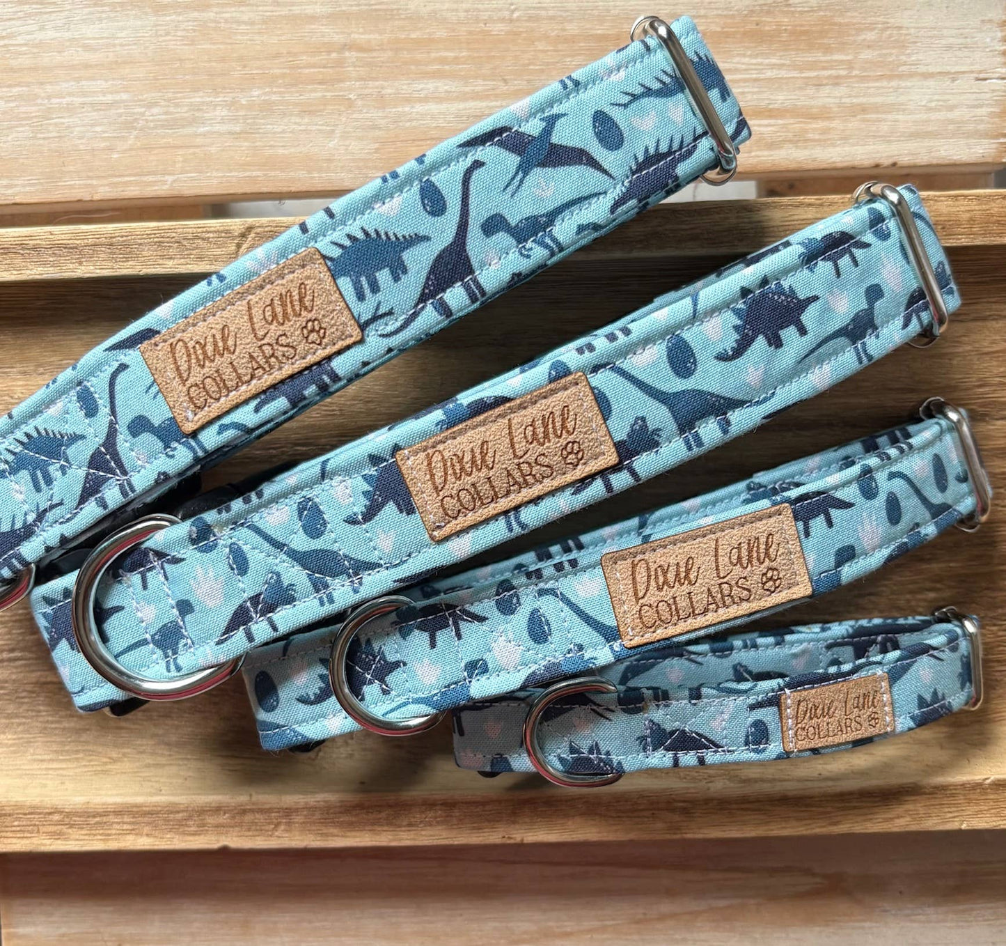 Blue Dinosaurs Dog Collar, T-rex Collar, Dinos, Dixie Lane