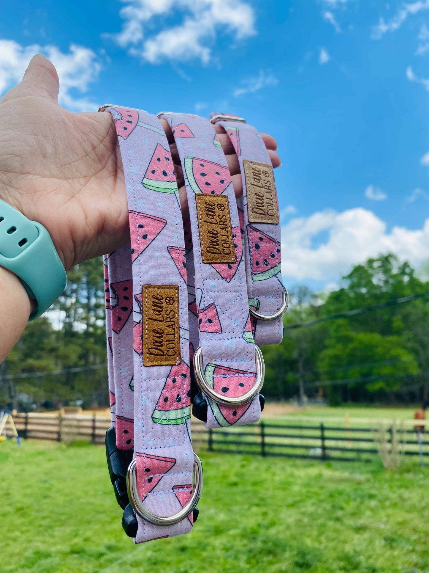 Pink Watermelons Dog Collar, Spring/Summer Dog Collar, Fruit