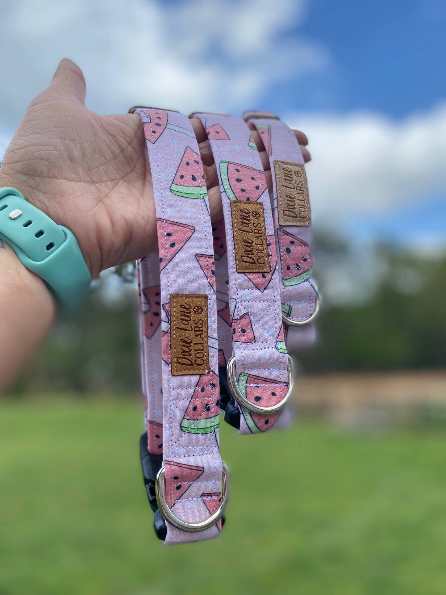 Pink Watermelons Dog Collar, Spring/Summer Dog Collar, Fruit