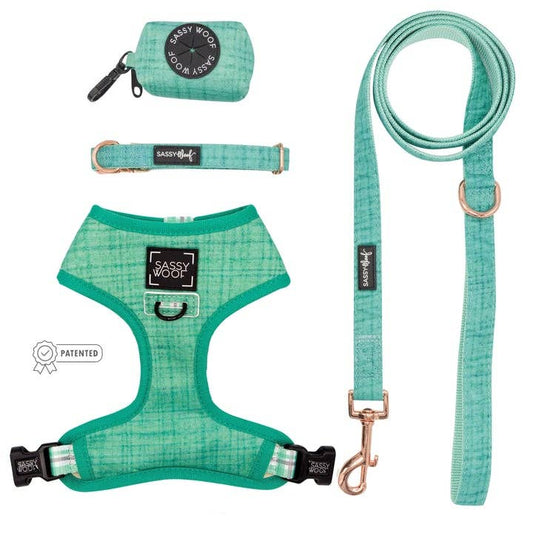Dog Bundle - Wag Your Teal: M / S