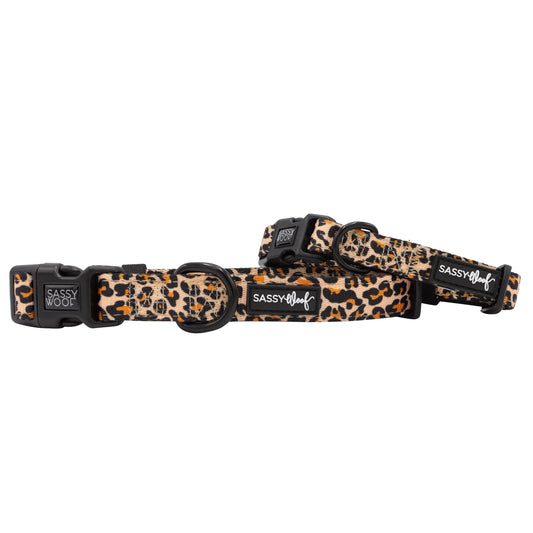 'Sass Gone Wild' Dog Collar