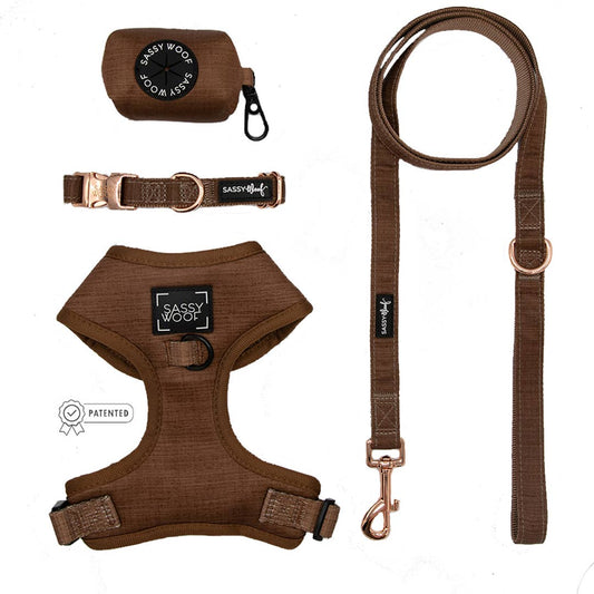 Fall Dog Bundle - Teddy: Medium / Small