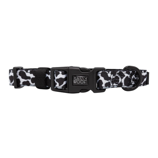 'Got Milk?' Dog Collar