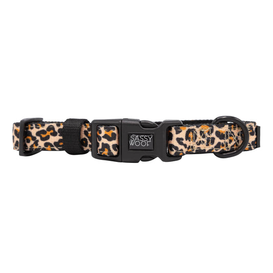Dog Collar - Sass Gone Wild
