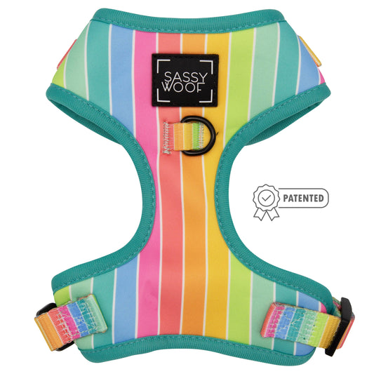 Dog Bundle - Sassy Stripes