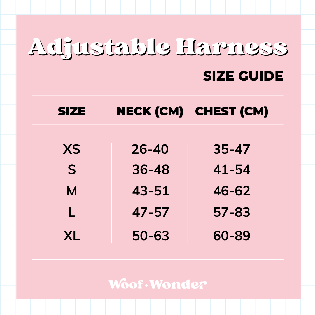 Lingerie Size Chart – Sequoia Harness