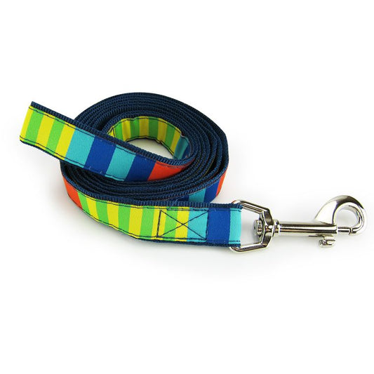 Dog Leash, Large - Party Stripes