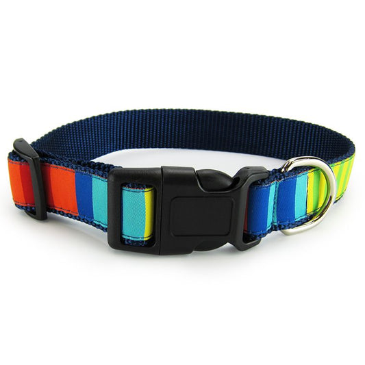 Dog Collar, Small - Party Stripes
