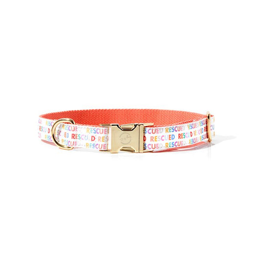 Rescued Rainbow Collar - Medium